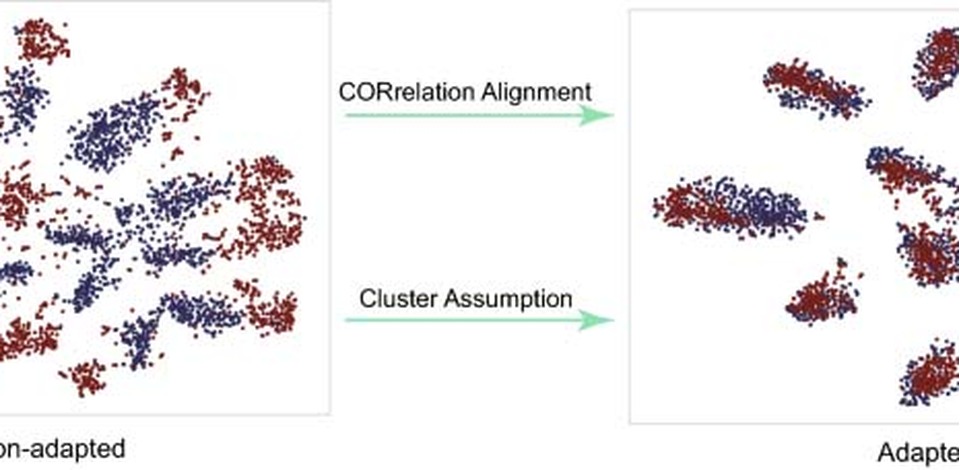 CDMDA domain adaptation teaser